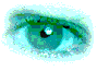 eye.gif (13347 bytes)
