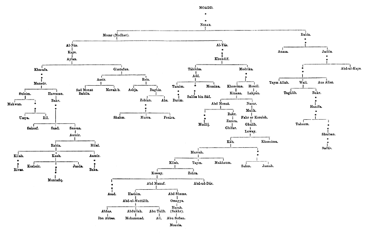 Genealogical Table of the Arabs - Moadd