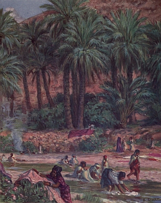 Illustration: Among all trees, one is blessed like the Mussulman,
 'tis the palm, said the Prophet.