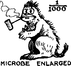 1/1000 Microbe Enlarged