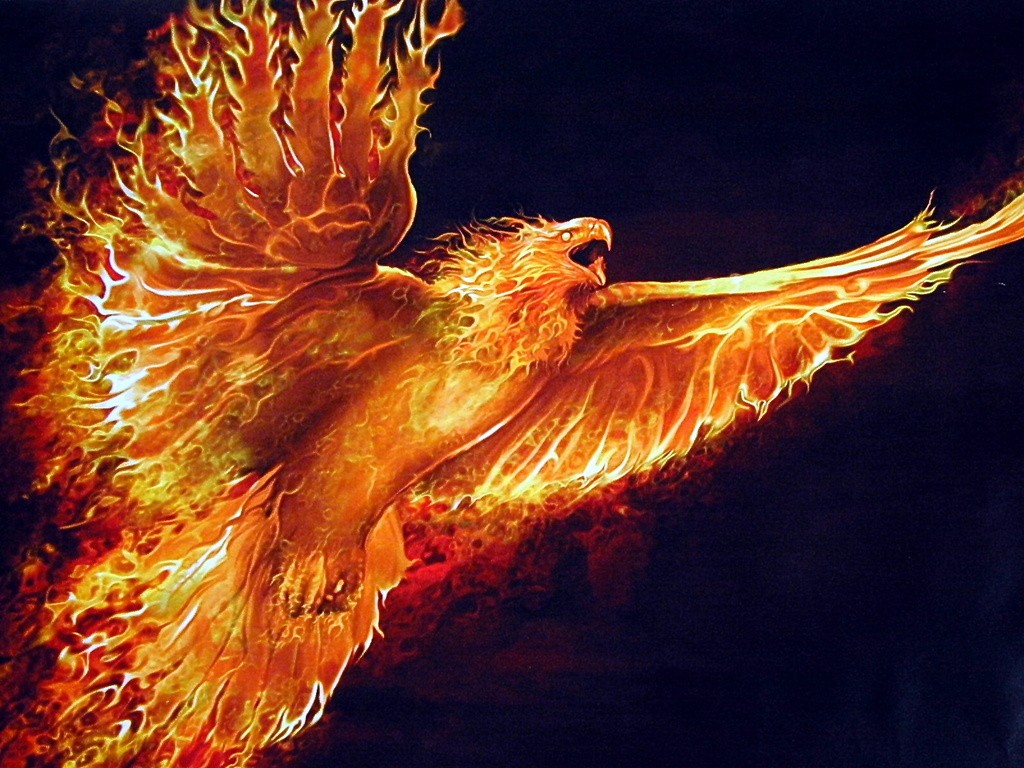 Flying_Phoenix