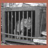 17708.html
