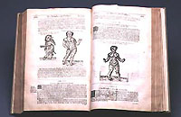 1a18.jpg